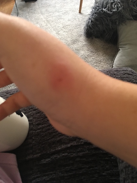 TTC after MC - July 2020 (Thread 7)