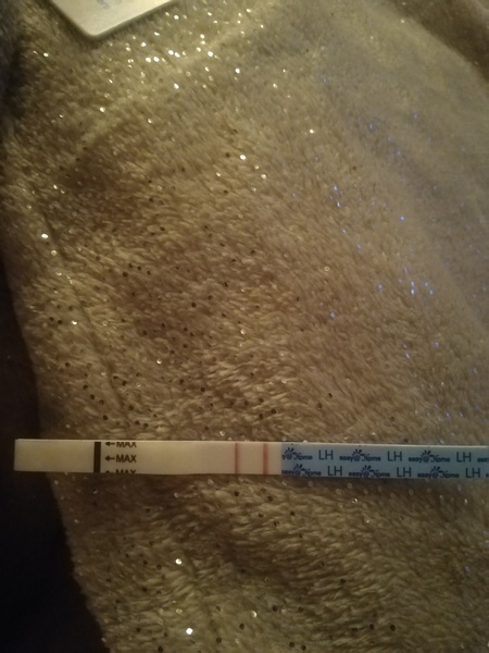 Ovulation test help!