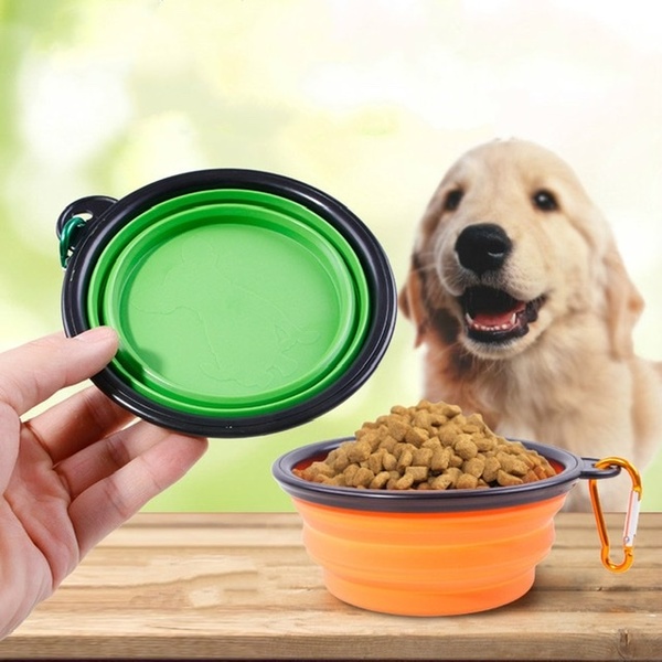 We're getting a dog! Are are your 'must buys'?