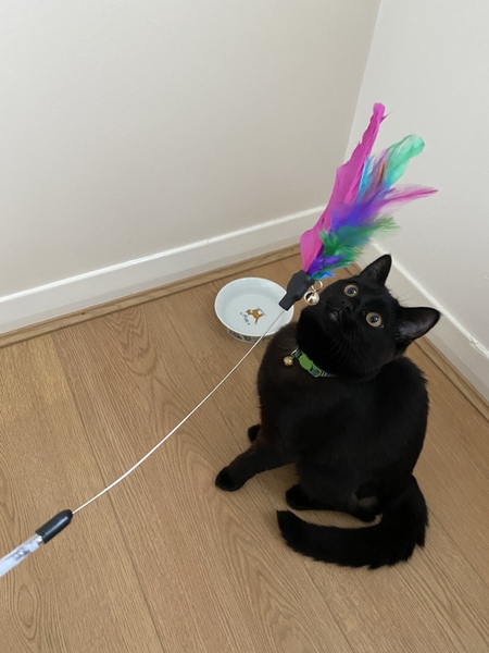 Meet Fleur