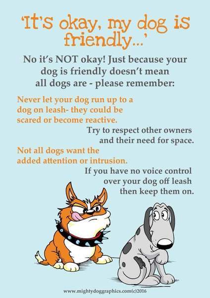 To be utterly exasperated with the ‘but she’s really friendly’ dog owners out there