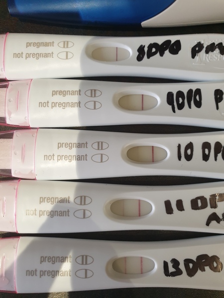Pregnant after Missed Miscarriage MMC