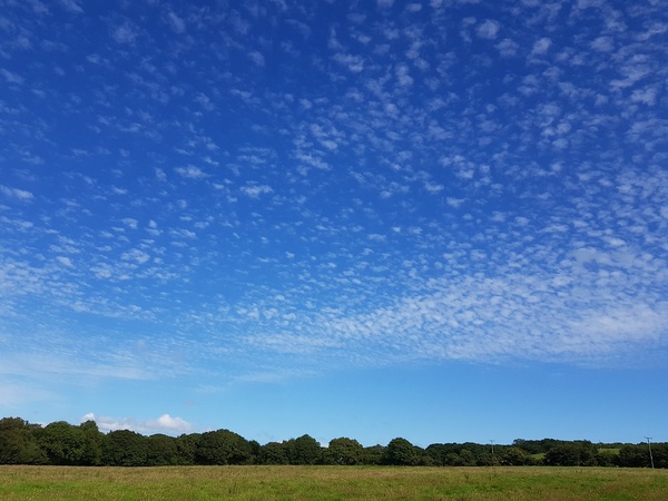 Blood sugar diet and fast800 thread 20