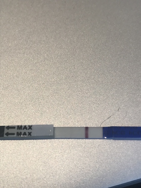 Self insemination - Any success stories?!