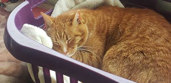 👣 Due Nov/Dec 👣 it's the 20 week scans! 👣