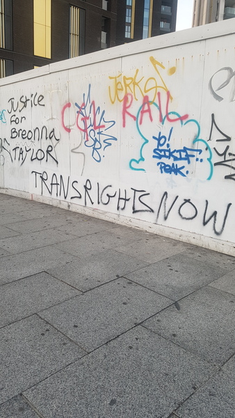 What’s the problem with Trans?