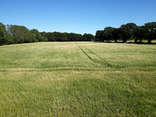 Swagger Inn thread 165 - wenches get --locked-- down with the HBFs (ylt)