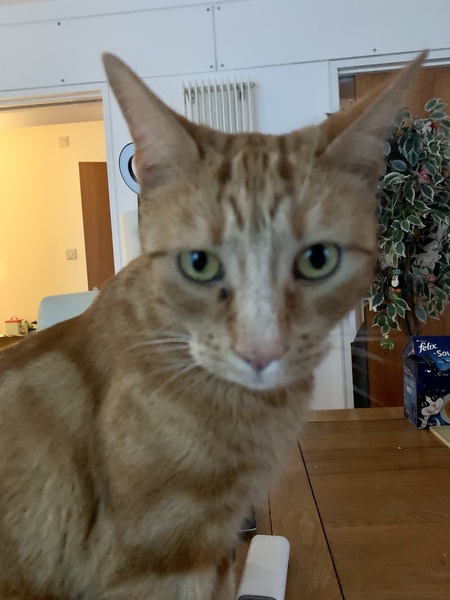 He’s missing