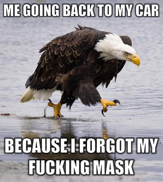 Just went in Morrisons without my mask ....how stupid can you get?