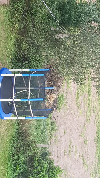 Pile of s**t left outside my garden