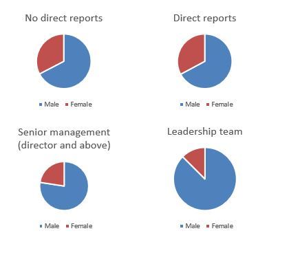 Opportunity to address lack of women in leadership - help!