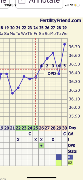 BBT chart help please