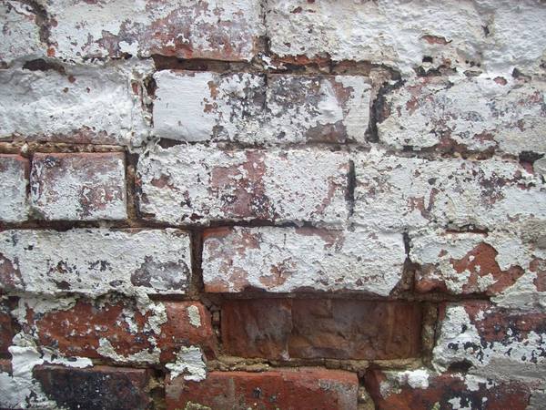 Advice needed - Repointing 100year old garden wall