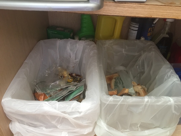 To not understand how to have a kitchen bin without flies?!