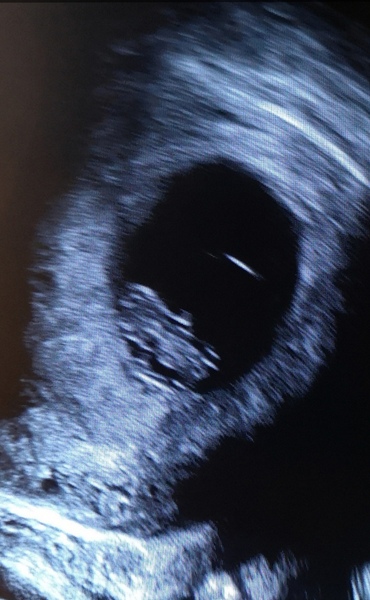 Due February 2021