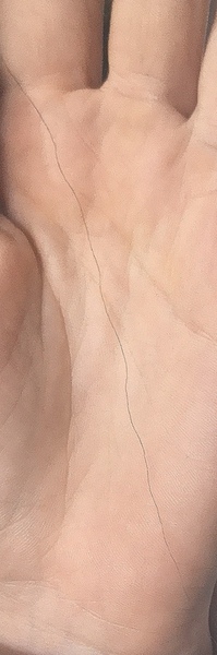 What is going on with my hair! Random corse strands