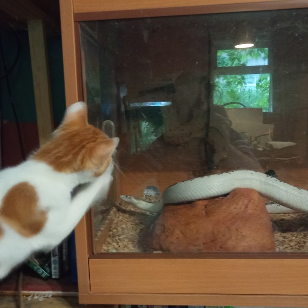 Lockdown (almost) over and frugalling continues!