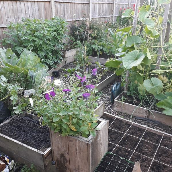 Allotment/Veg Patch Thread 15 - will winter ever end?