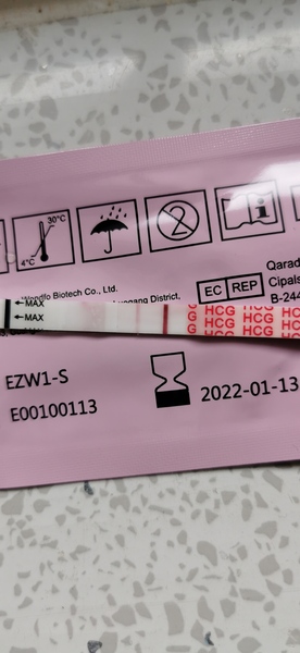 Old ovaries, new lines