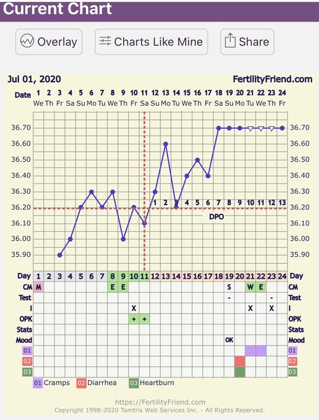 Basal chart? Anyone had this then bfp?