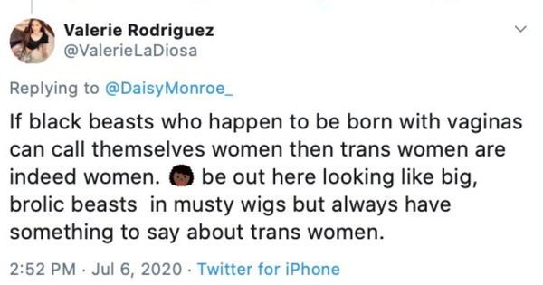 " Black Cis Women are destroying the black community"