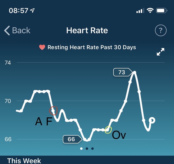 Tracking your cycle and possible BFP using RHR - part 2