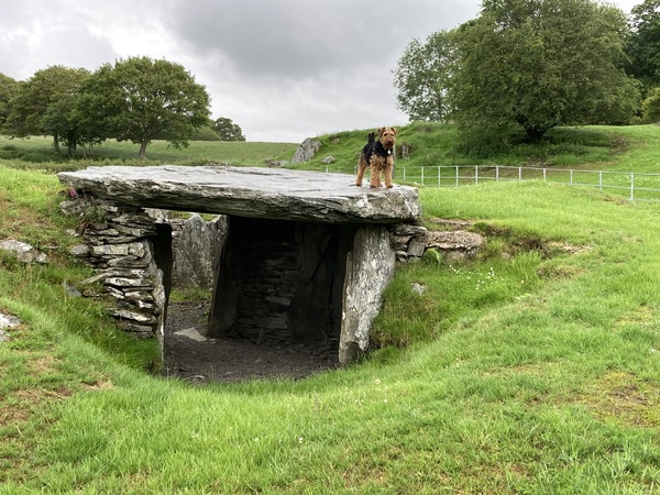 Any Witches Here? Part 11