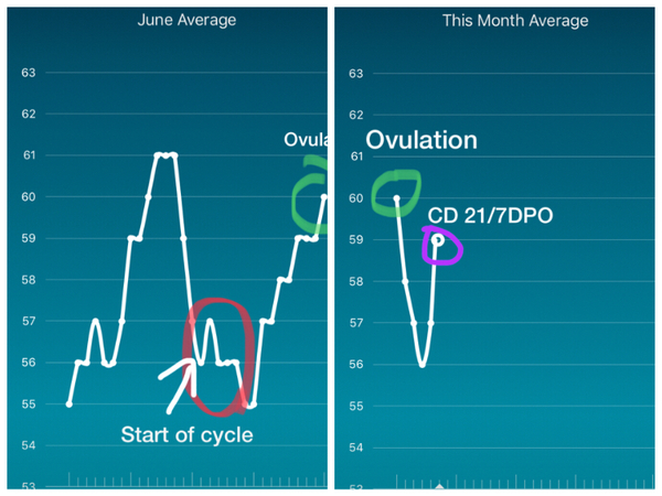 Tracking your cycle and possible BFP using RHR - part 2