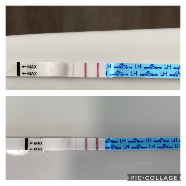 TTC after MC - June/July 2020 (Part 4)