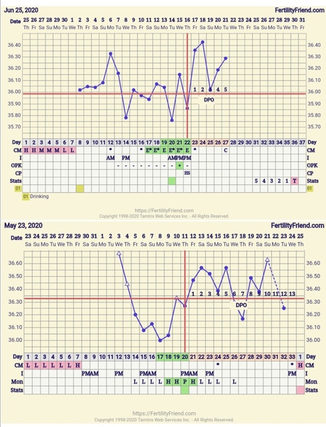 TTC baby no1. Looking for fellow crazy TTC friends!
