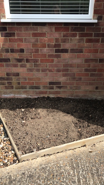 How to transform a small bare spot