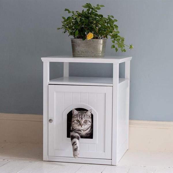 Thinking of getting a cat, advice please