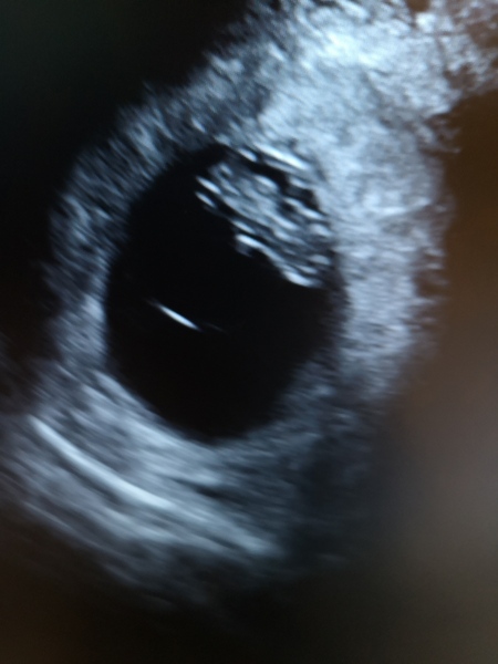 FEB 2021 DUE DATE 2