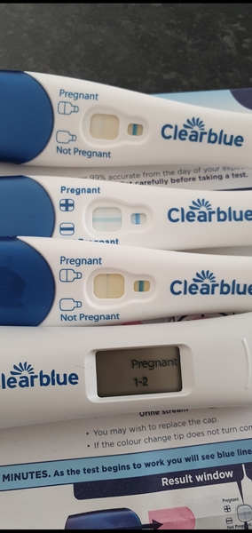 Pregnant or not?