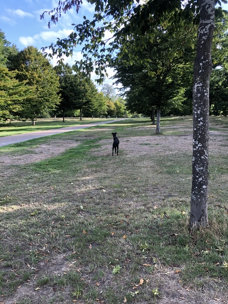 More Couch to 5k encouragement!