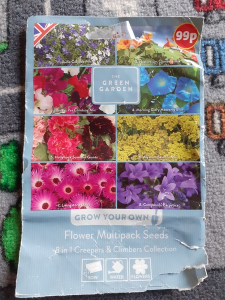 Planting a mini woodland