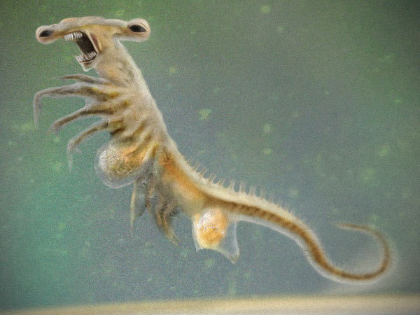 Is it cruel to throw sea monkeys away?
