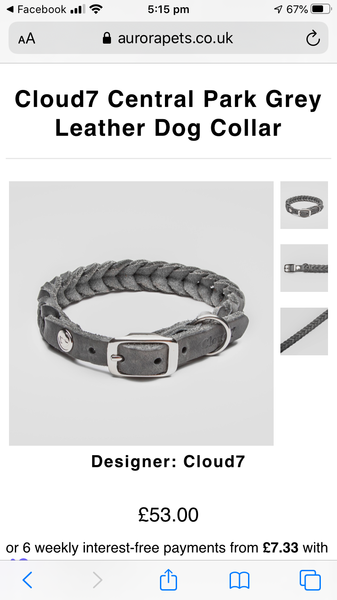 Does anyone know where I can find a collar like this?