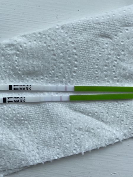 OPK help? Have I missed my surge?