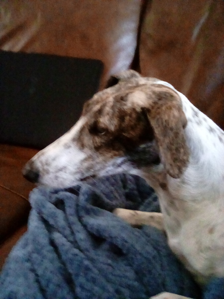 Can't get the fricking lids off these jars!