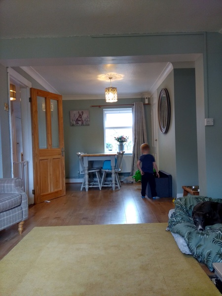 Struggling to find the perfect green paint