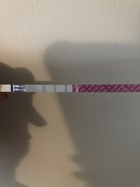 TTC after a chemical pregnancy / early miscarriage