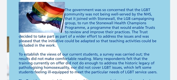 GIDS being sued by their safeguarding lead.