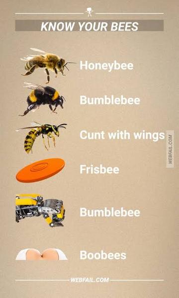 There's about 200 wasps outside my house going bonkers