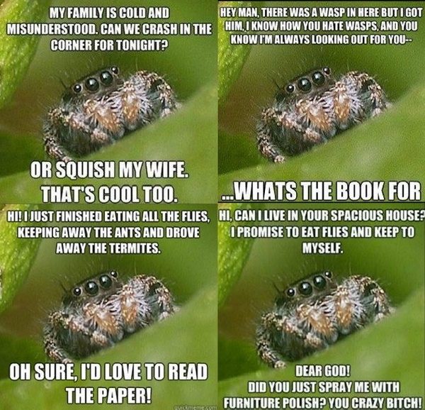 Spider !