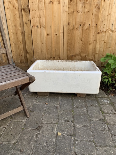 Catio is Go - are my current plants toxic?