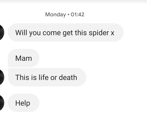 To ask how your teens have made you  laugh lately..