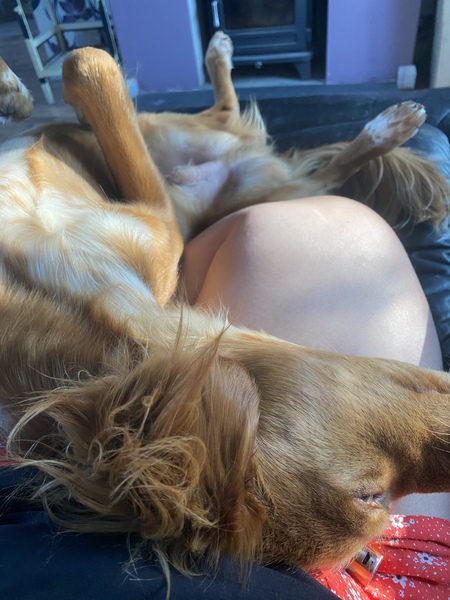 Ridiculous Hound Pics Thread