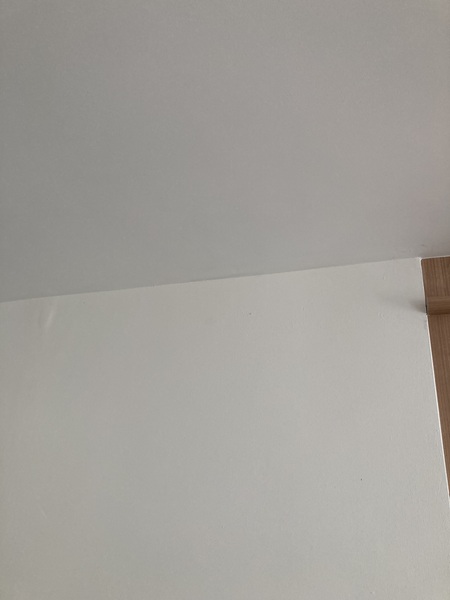Please help settle this paint argument!