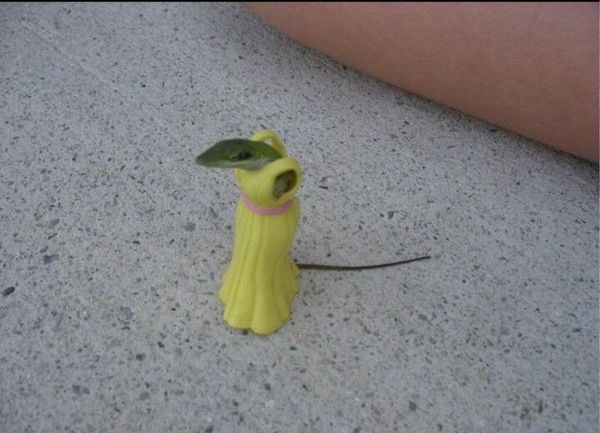 Retailers sending email like dear lizard, you deserve a new dress